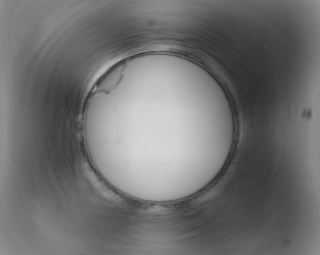 X0000110671178200906121053