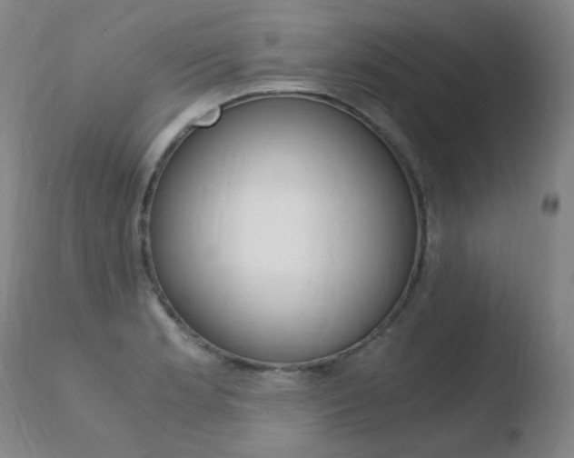 X0000110671181200906121053