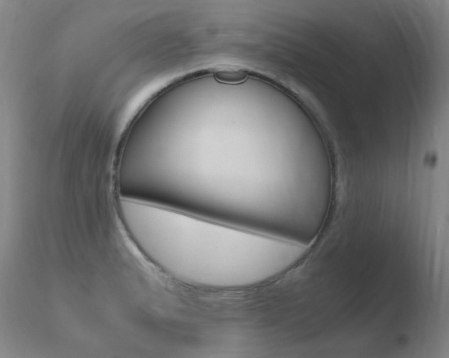 X0000110671183200906121053