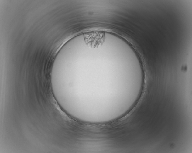 X0000110671185200906121053