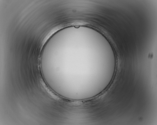 X0000110671186200906121053