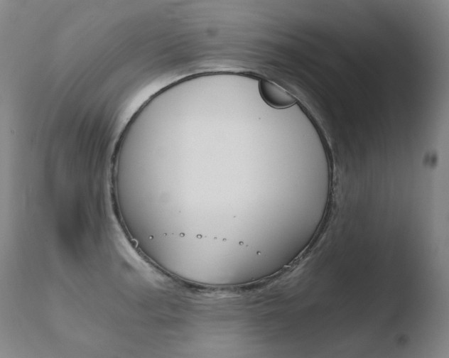 X0000110671187200906121053