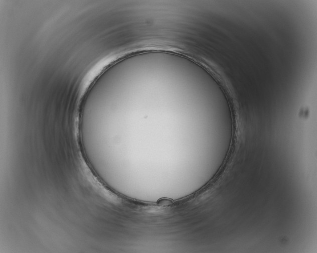 X0000110671188200906121053