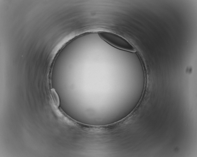 X0000110671189200906121053