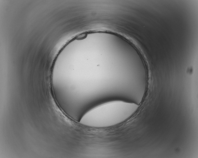 X0000110671191200906121053
