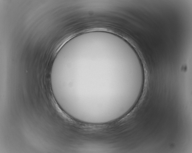 X0000110671193200906121053