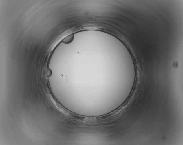 X0000110671194200906121053
