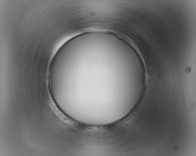 X0000110671195200906121053