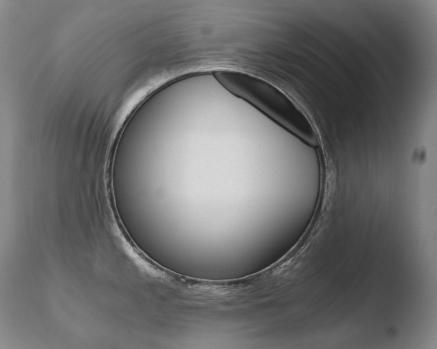 X0000110671197200906121053