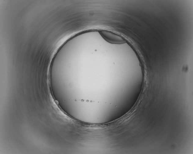 X0000110671199200906121053