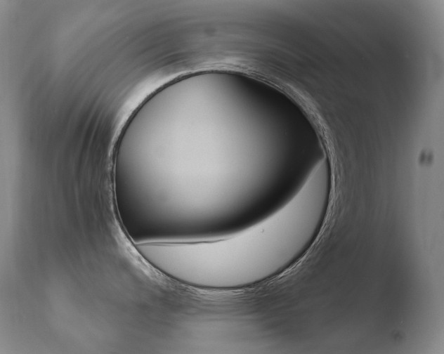 X0000110671200200906121053