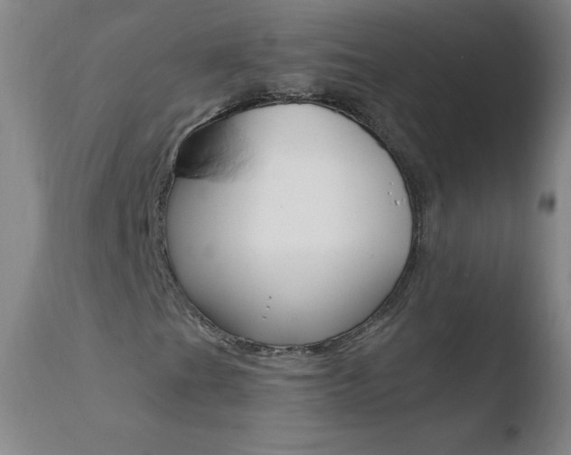 X0000110671201200906121052