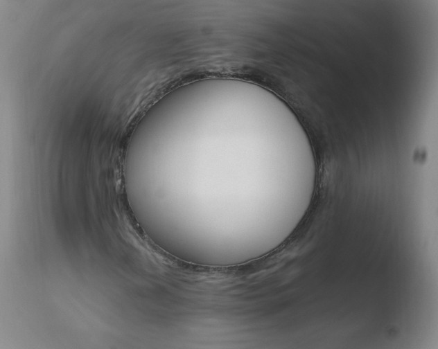 X0000110671202200906121052
