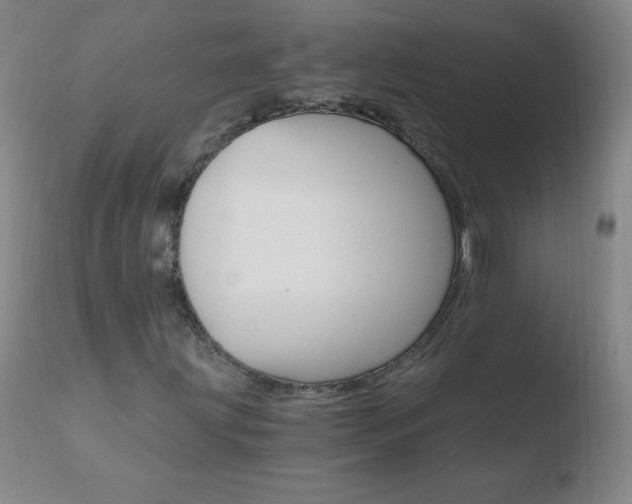 X0000110671203200906121052