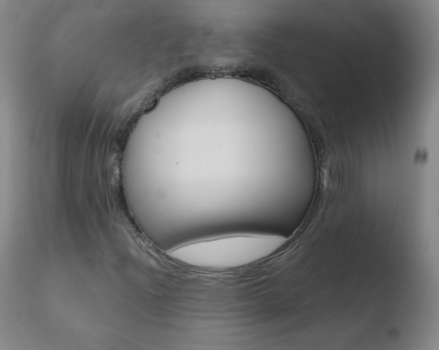 X0000110671204200906121052