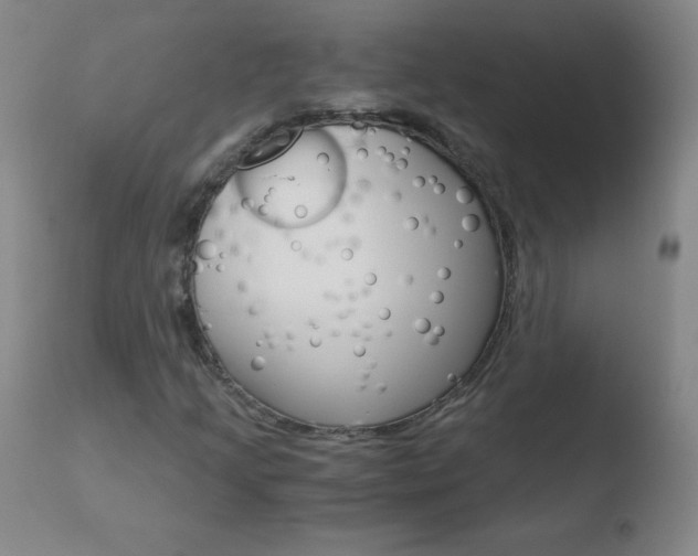 X0000110671205200906121052