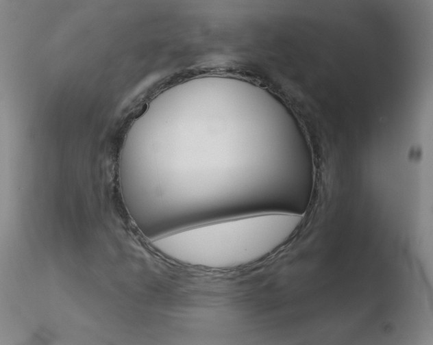 X0000110671206200906121052