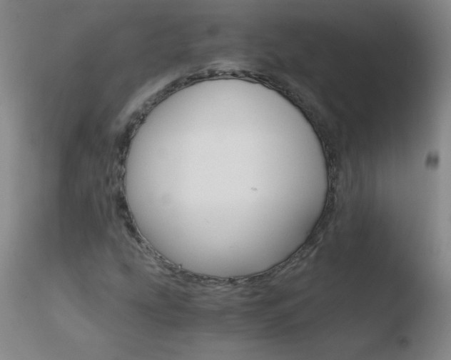 X0000110671207200906121052