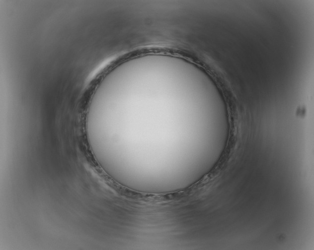 X0000110671208200906121052