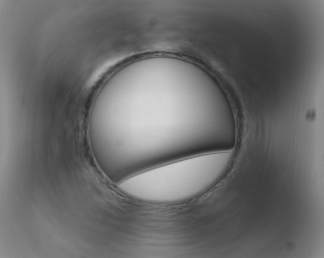 X0000110671214200906121053