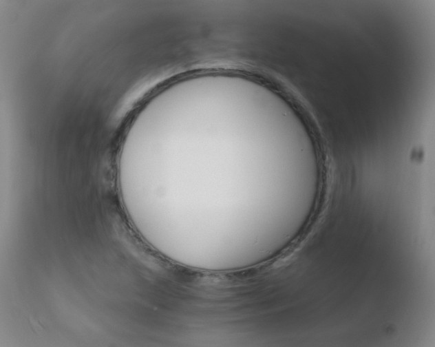 X0000110671215200906121053