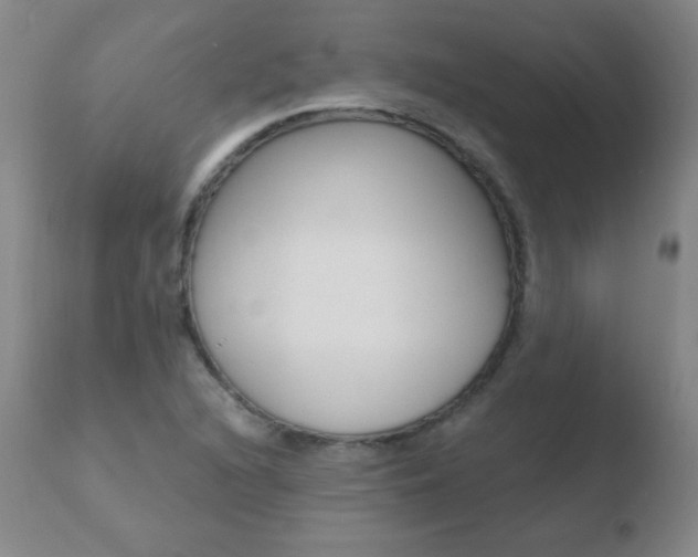 X0000110671216200906121053