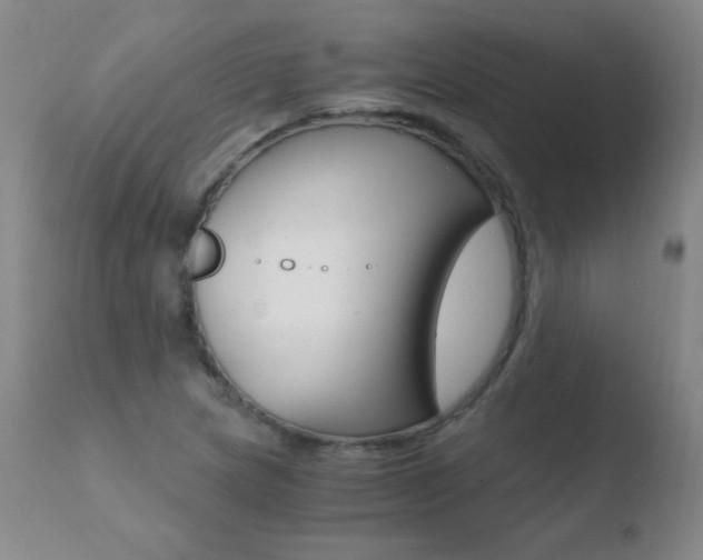 X0000110671217200906121053