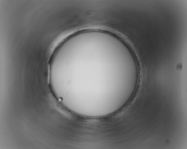 X0000110671223200906121053
