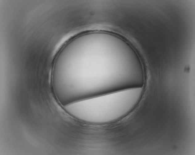 X0000110671224200906121053