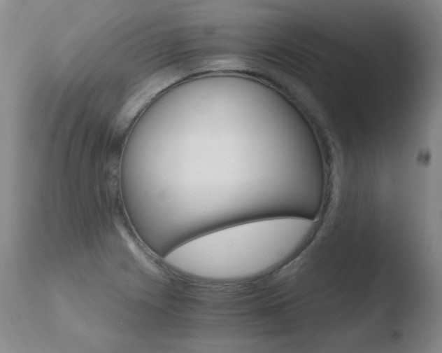 X0000110671225200906121053