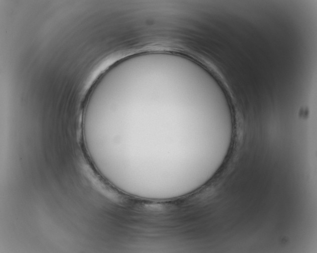 X0000110671227200906121053