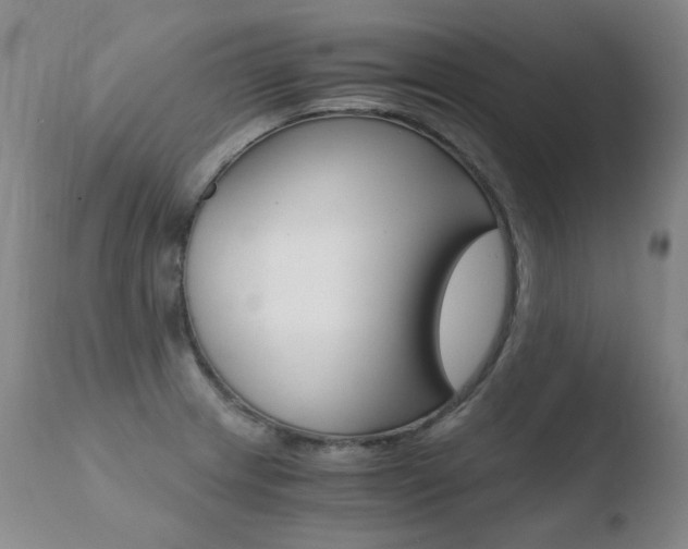 X0000110671233200906121053