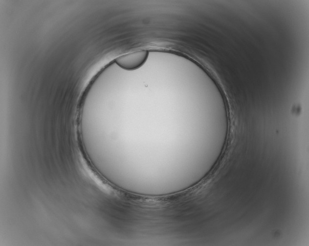 X0000110671235200906121053