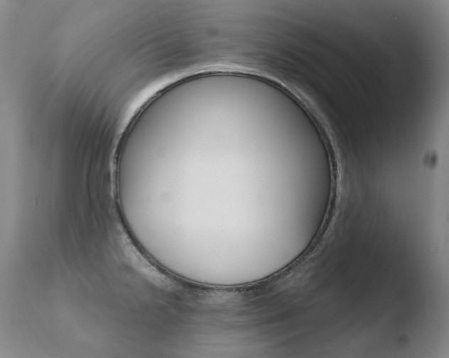 X0000110671238200906121053