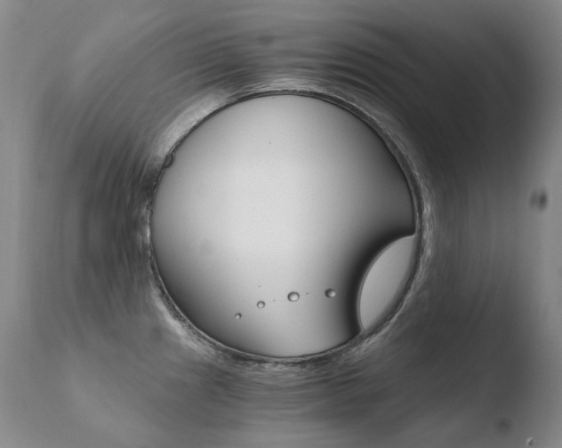 X0000110671241200906121053