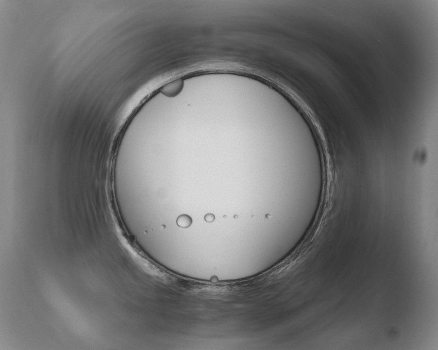 X0000110671245200906121053