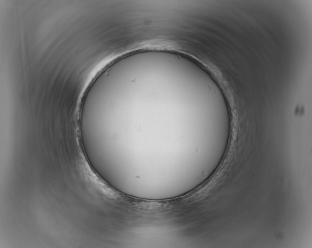 X0000110671248200906121053