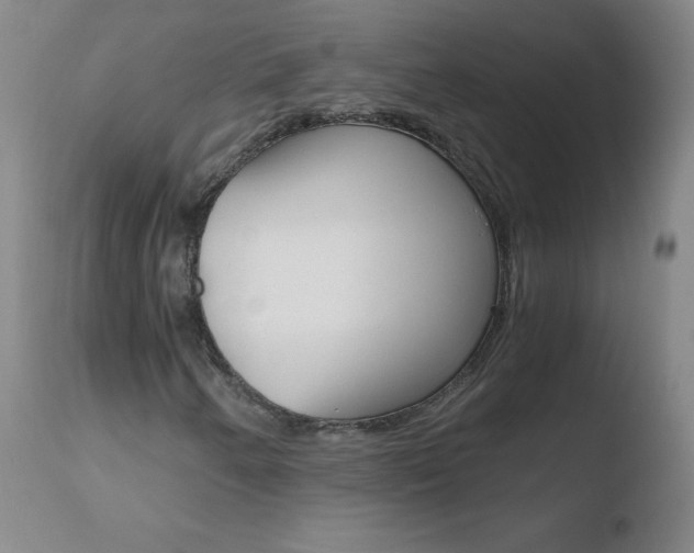 X0000110671250200906121052