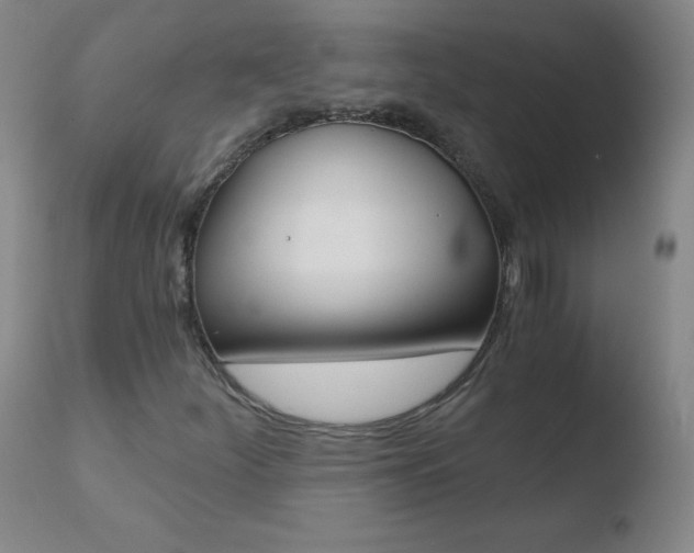 X0000110671252200906121052