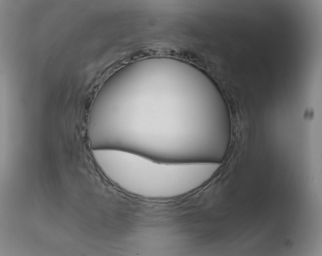X0000110671253200906121052