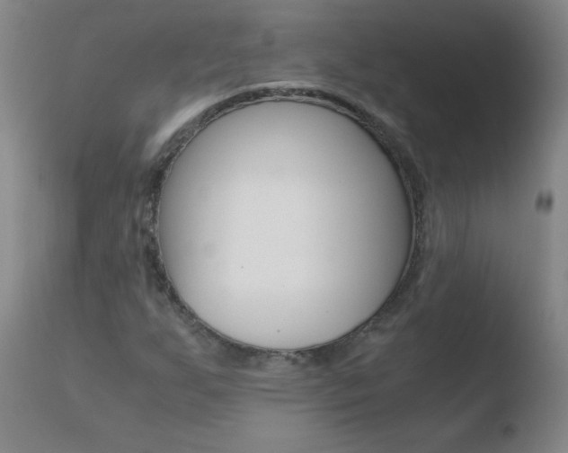 X0000110671255200906121052