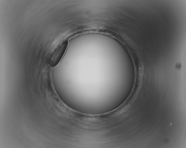 X0000110671257200906121052