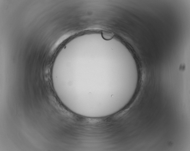 X0000110671258200906121052