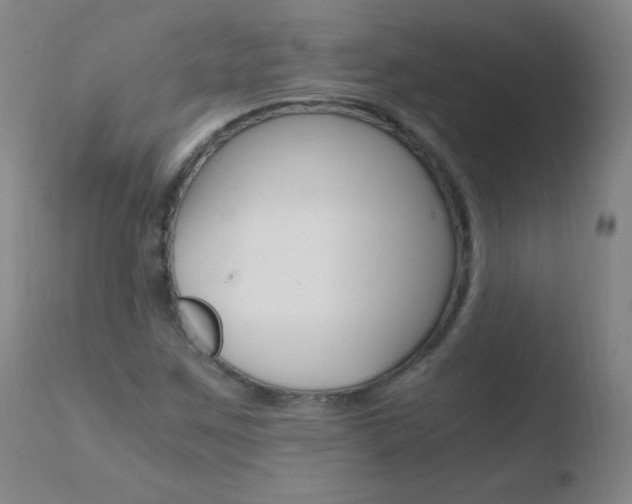 X0000110671259200906121052