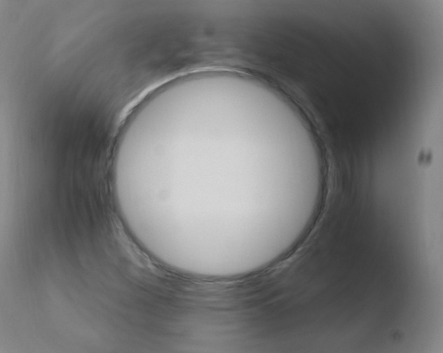 X0000110671260200906121052