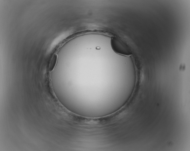 X0000110671261200906121052