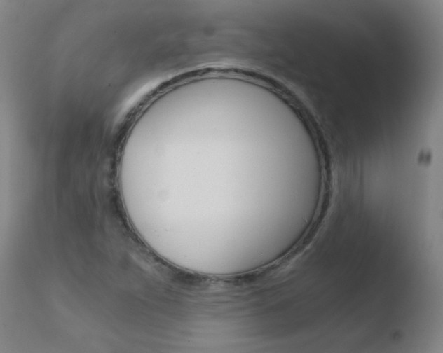 X0000110671263200906121052