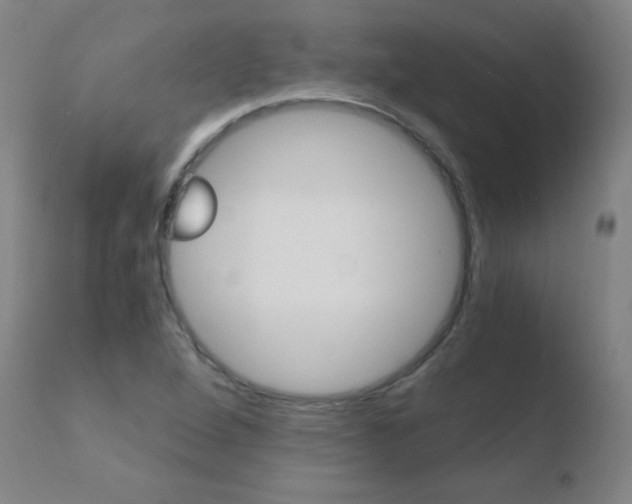 X0000110671264200906121052