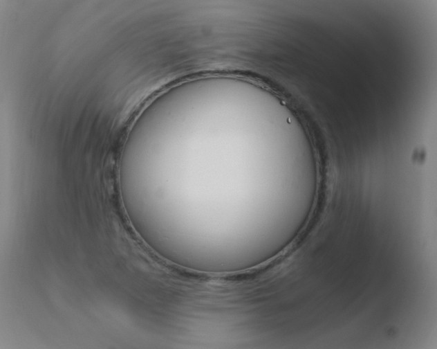 X0000110671265200906121052