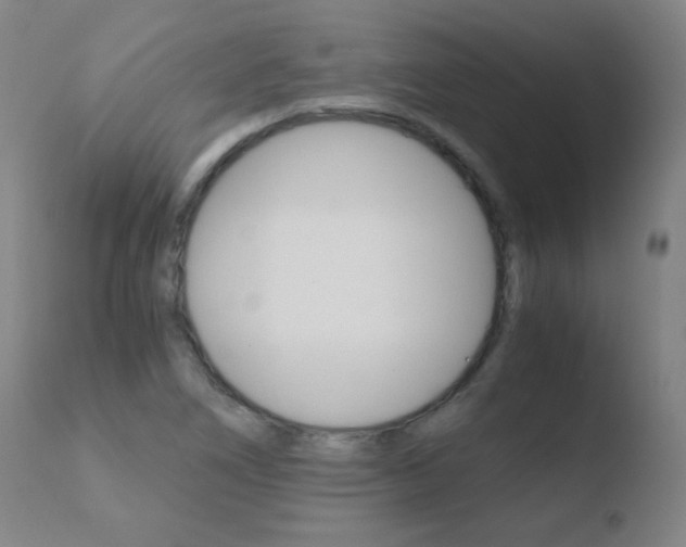 X0000110671266200906121052